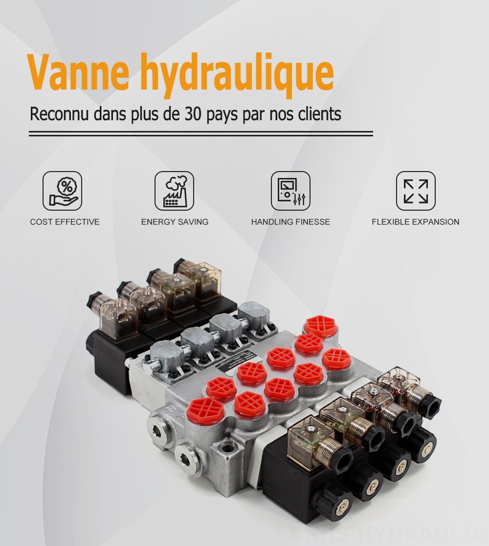 P40-DS Solénoïde 4 distributeurs Vanne directionnelle monobloc