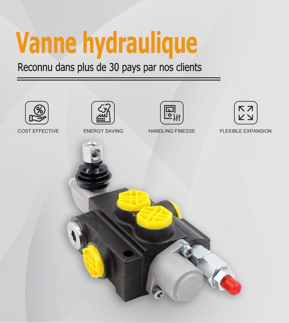 P40-G12-1OT Manuel 1 distributeur Distributeur directionnel monobloc