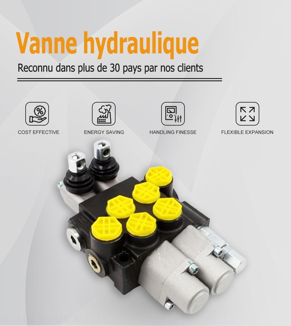 P40-G12-2OT Manuel 2 distributeurs Distributeur directionnel monobloc