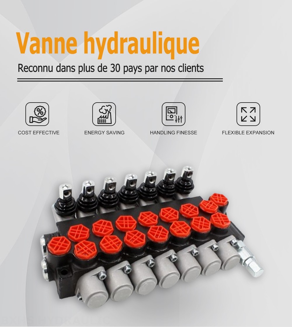 P40-G12-7OT Manuel 7 distributeurs Distributeur directionnel monobloc