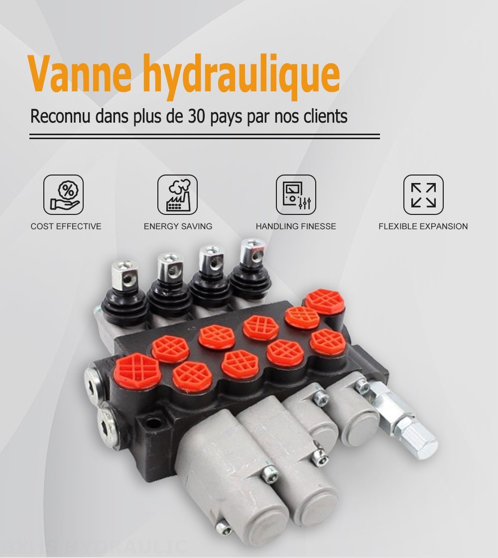 P40-G12-G38-2OT-2QTW Manuel 4 distributeurs Distributeur directionnel monobloc