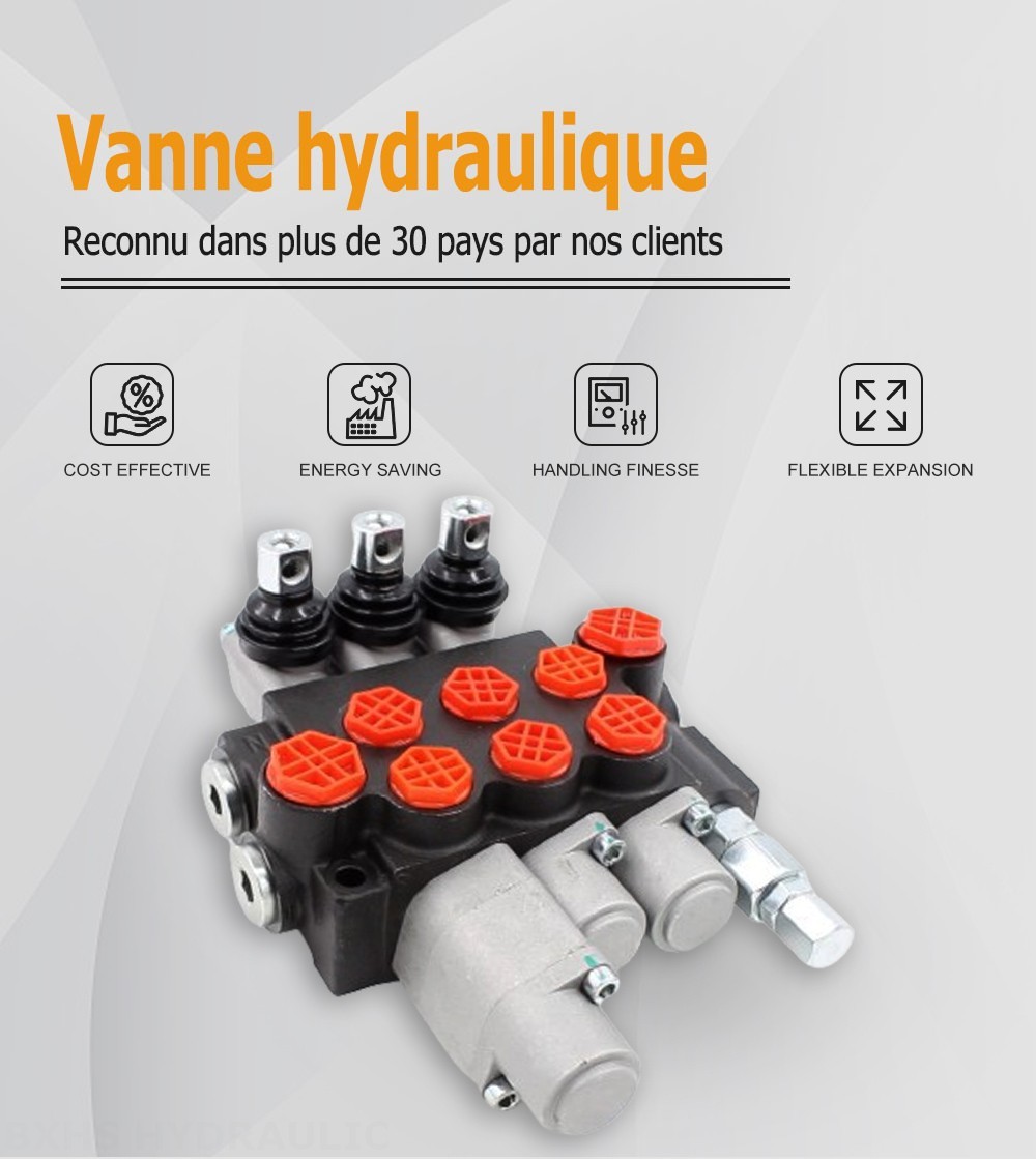 P40-G12-G38-2OT-QTW Manuel 3 distributeurs Distributeur directionnel monobloc