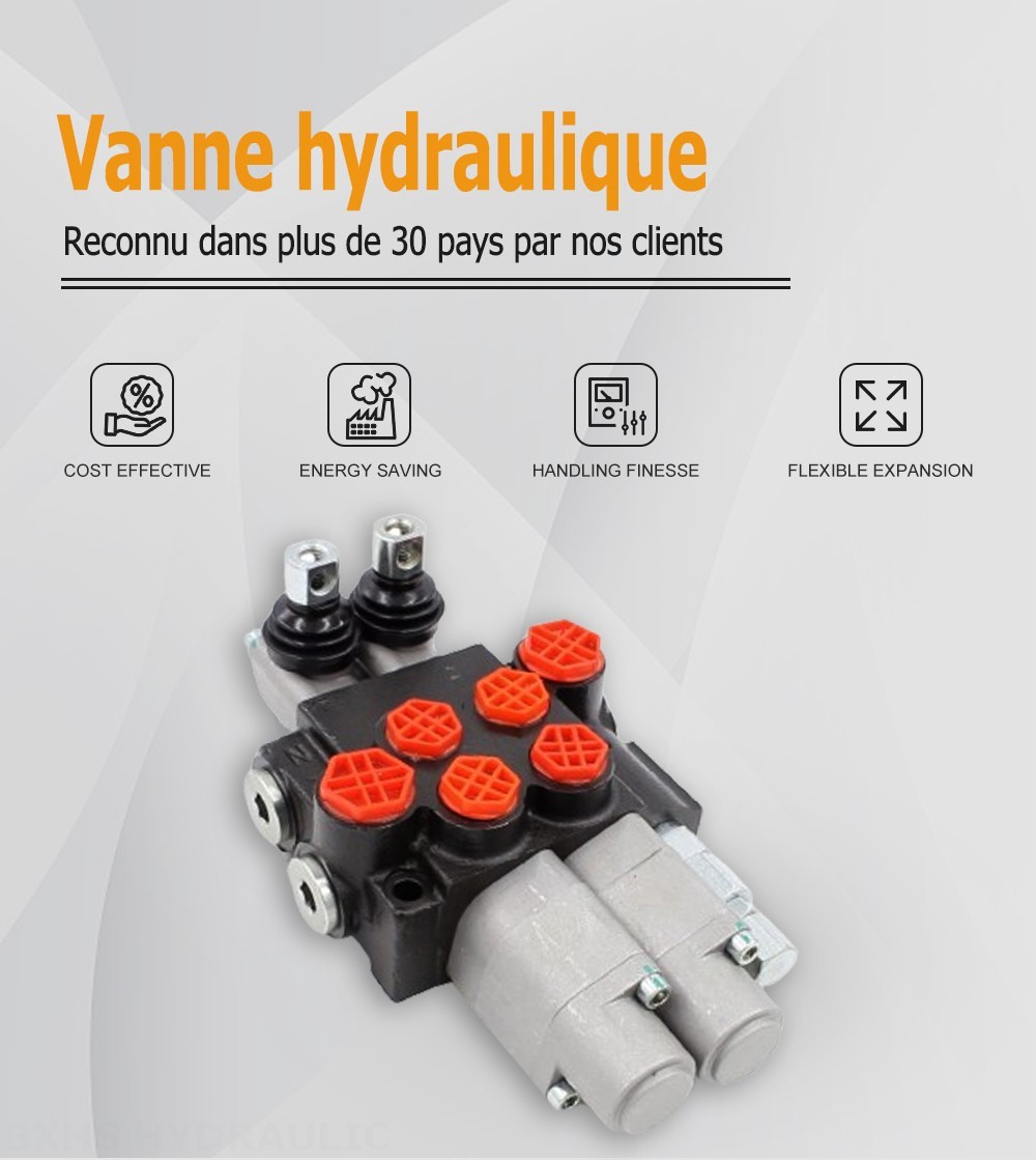 P40-G12-G38-2QTW Manuel 2 distributeurs Distributeur directionnel monobloc