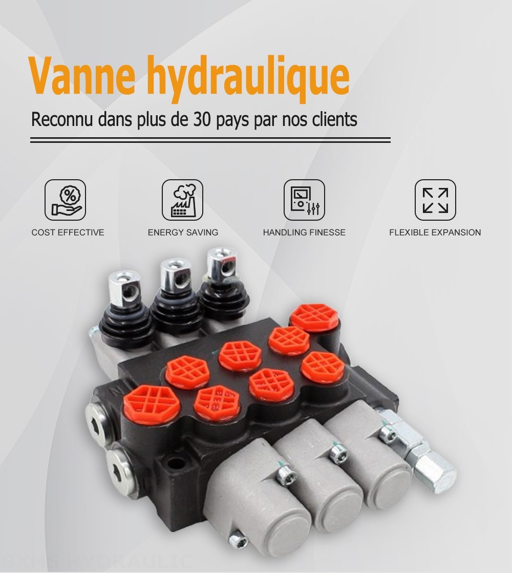 P40-G12-G38-3OT Manuel 3 distributeurs Distributeur directionnel monobloc