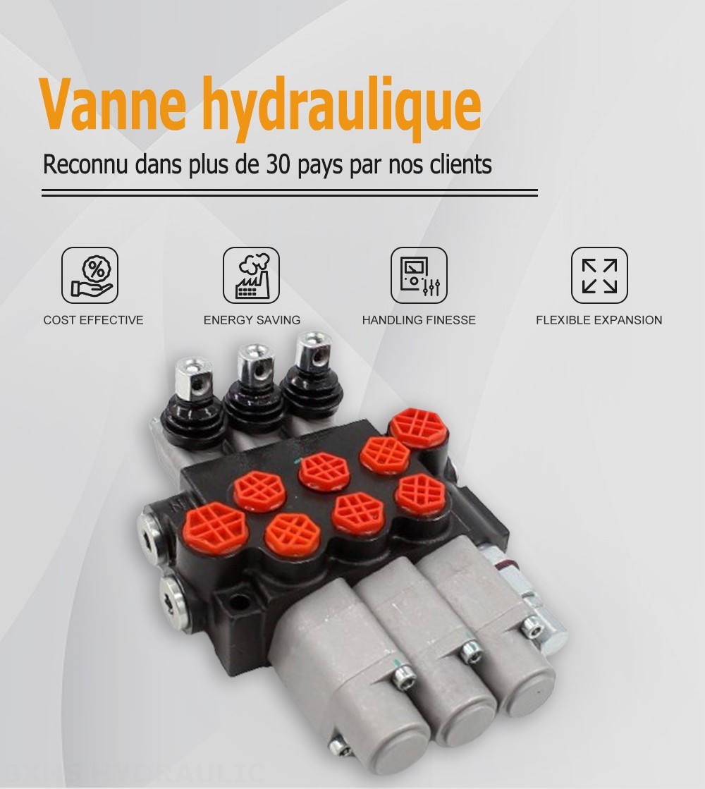 P40-G12-G38-3QTW Manuel 3 distributeurs Distributeur directionnel monobloc