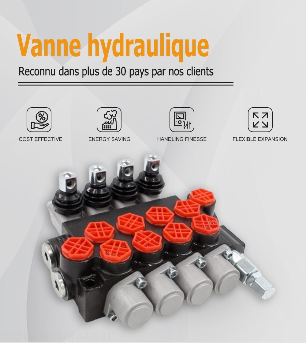 P40-G12-G38-4OT Manuel 4 distributeurs Distributeur directionnel monobloc