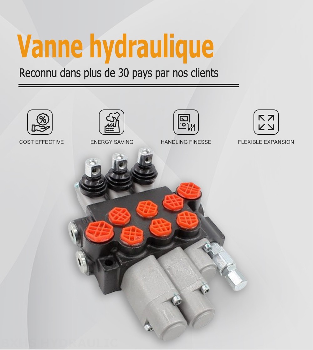 P40-G12-G38-OT-2QTW Manuel 3 distributeurs Distributeur directionnel monobloc