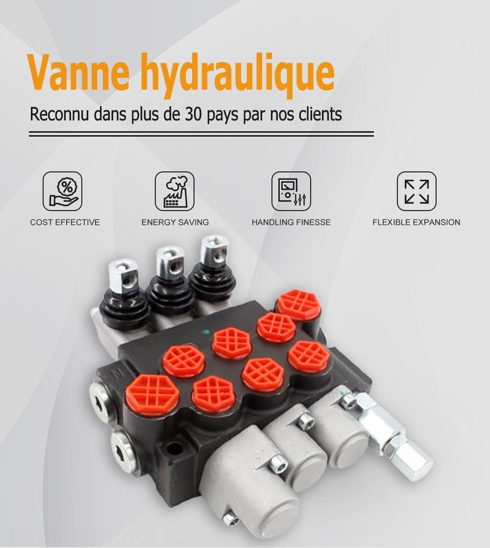 P40-G12-G38-OT-OT-OT Manuel 3 distributeurs Distributeur directionnel monobloc