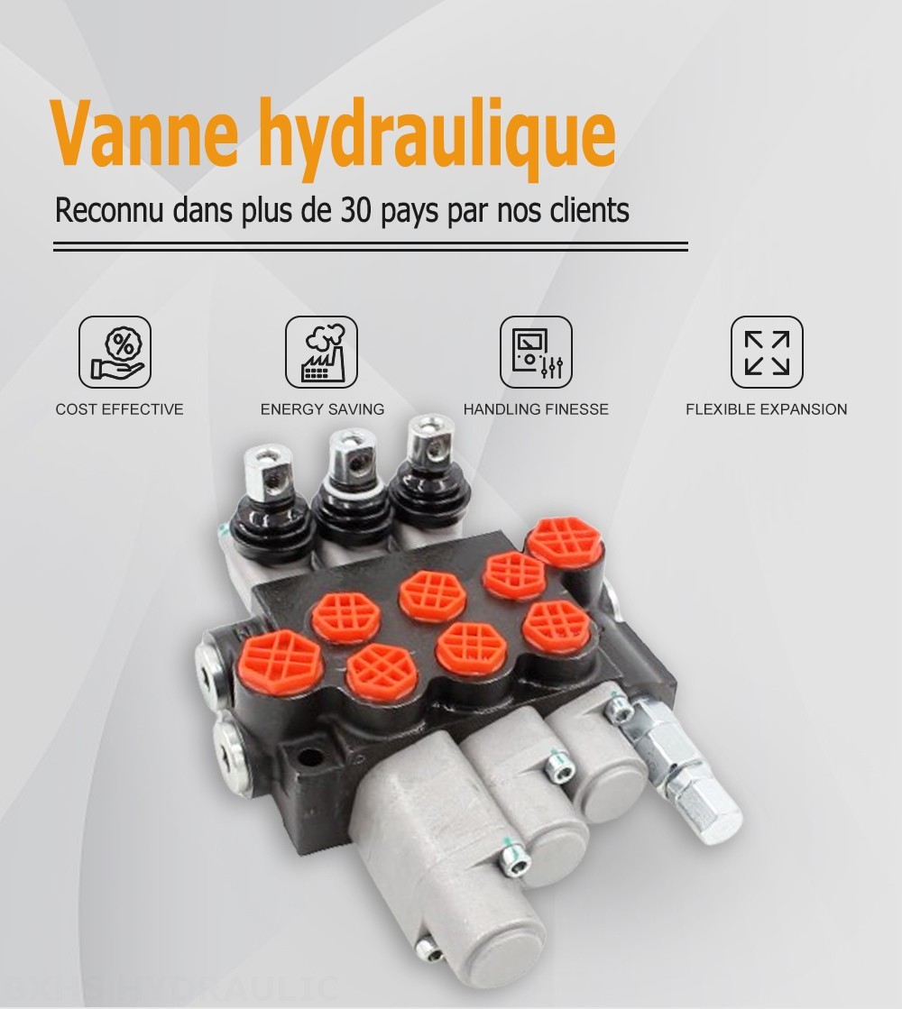 P40-G12-G38-OT-QTW-QTW1 Manuel 3 distributeurs Distributeur directionnel monobloc