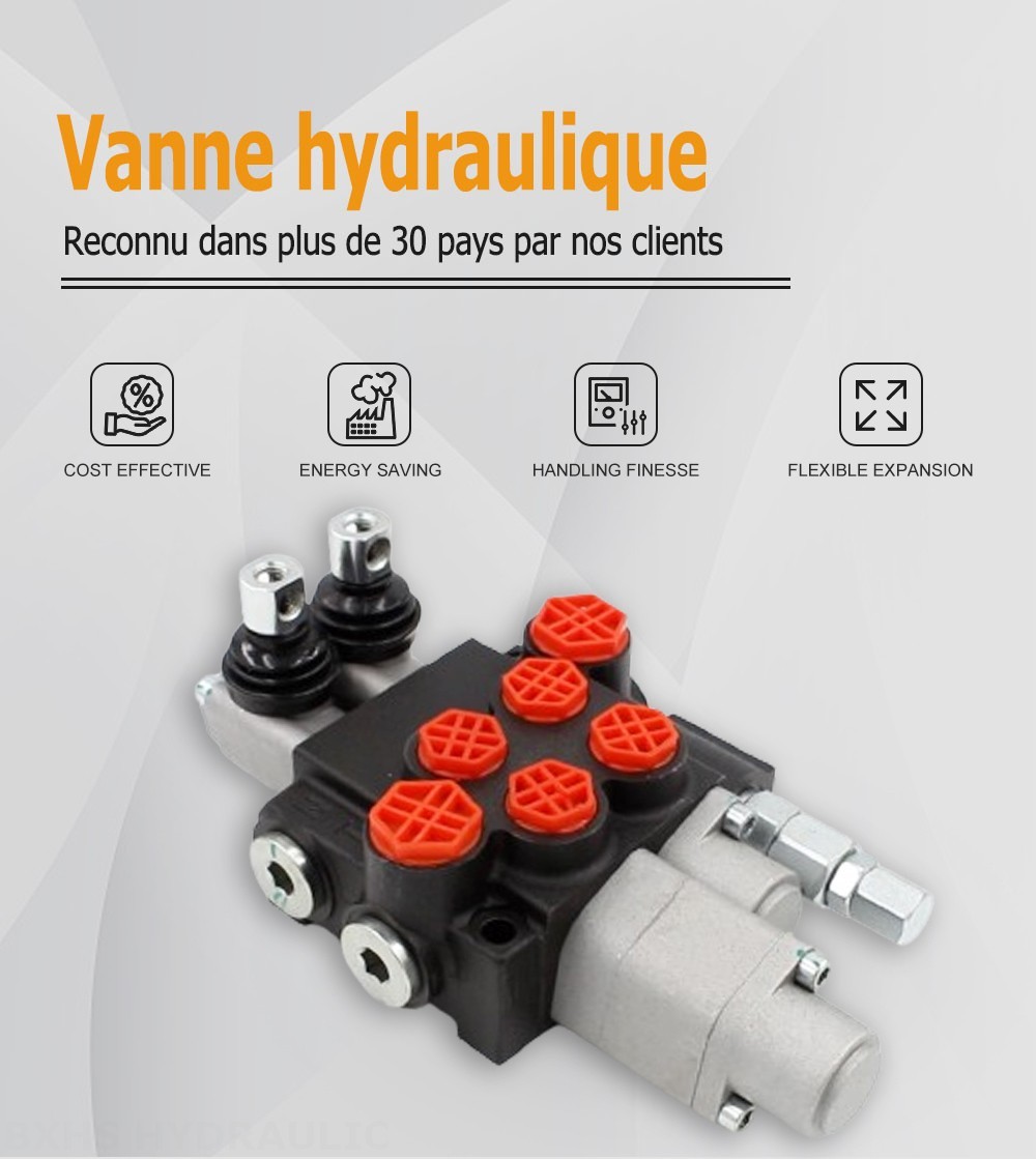 P40-G12-G38-OT-QTW1 Manuel 2 distributeurs Distributeur directionnel monobloc