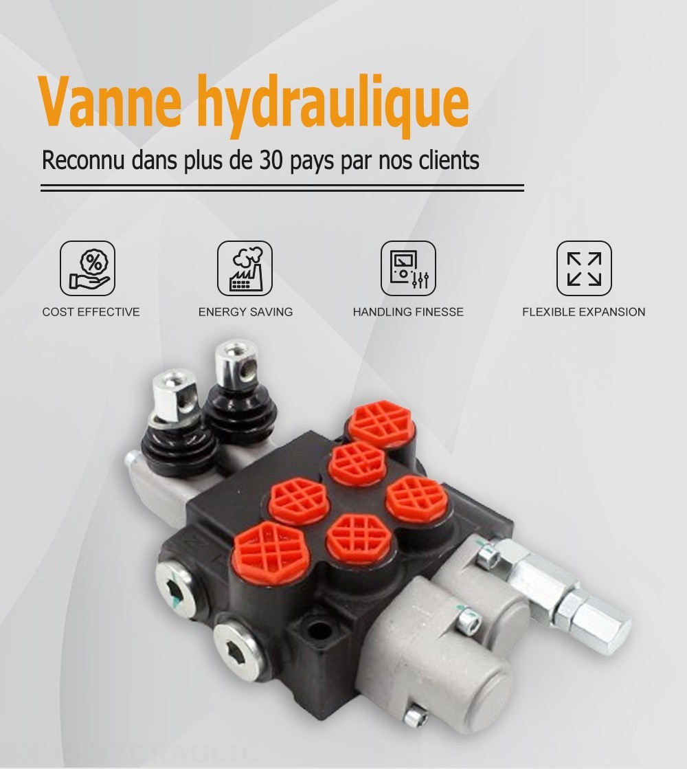 P40-G12-G38-OT-QTW Manuel 2 distributeurs Distributeur directionnel monobloc