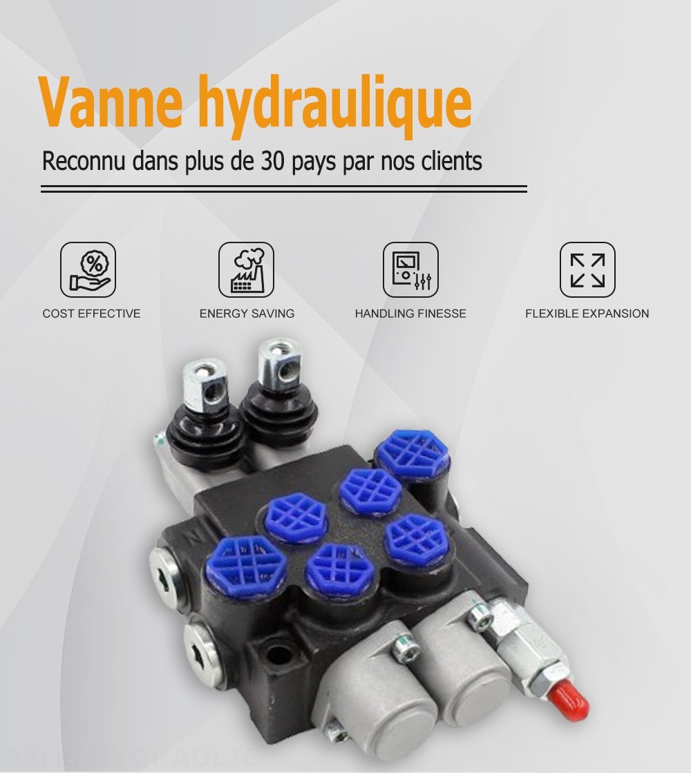 P40-G12-G38-OT Manuel 2 distributeurs Distributeur directionnel monobloc