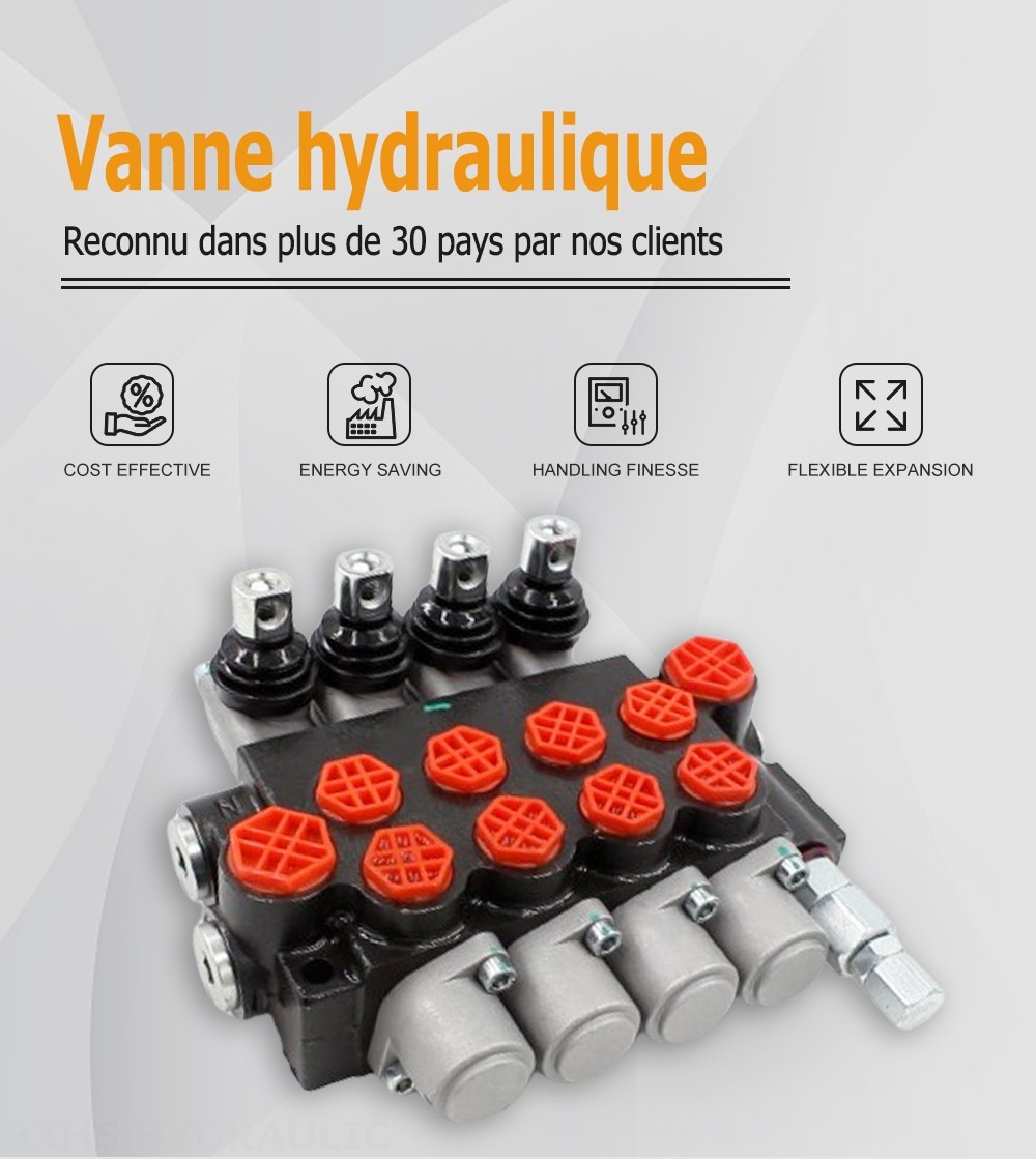 P40-G12-G38-OT Manuel 4 distributeurs Distributeur directionnel monobloc