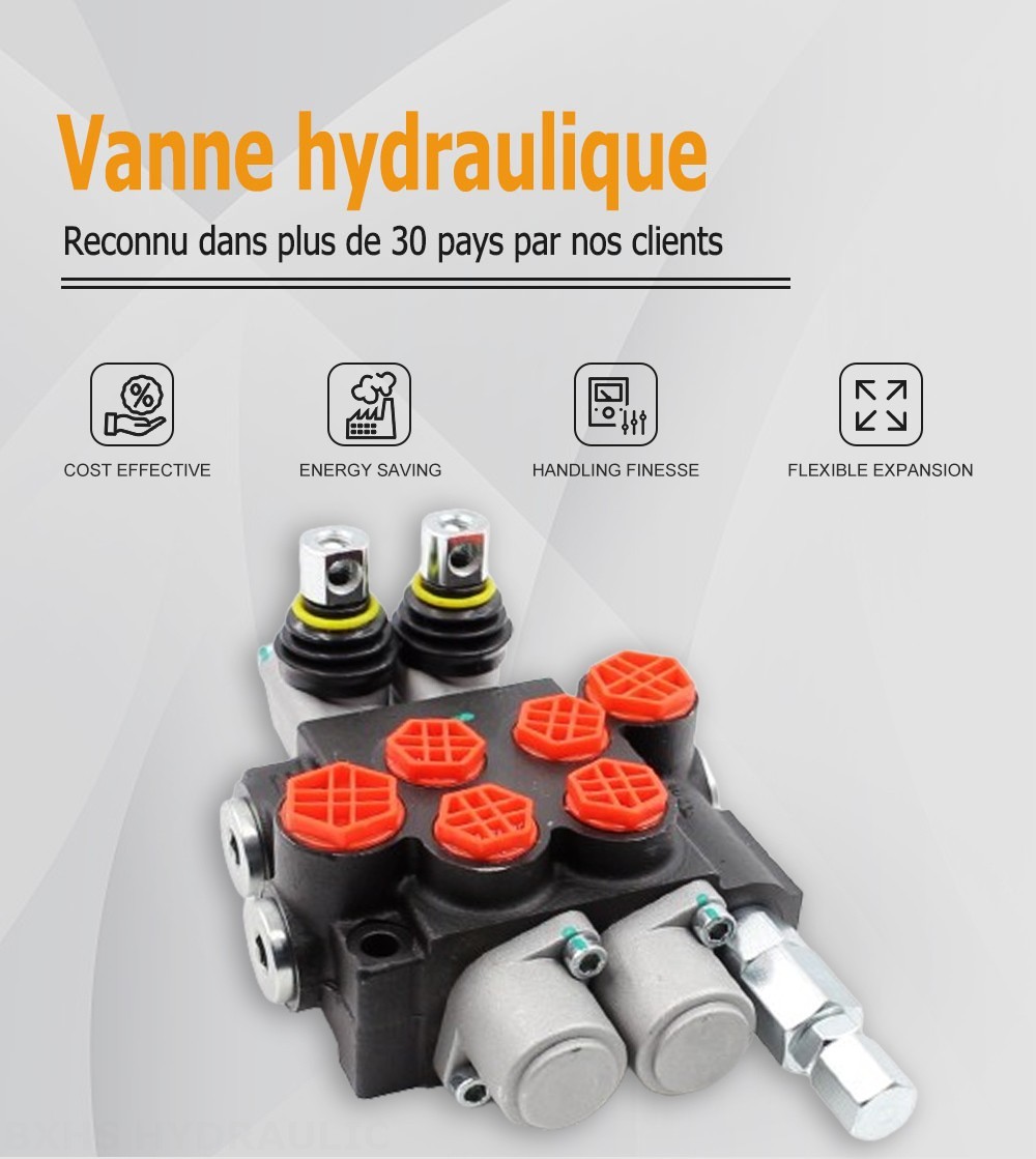 P40-G12-G38-OW Manuel 2 distributeurs Distributeur directionnel monobloc