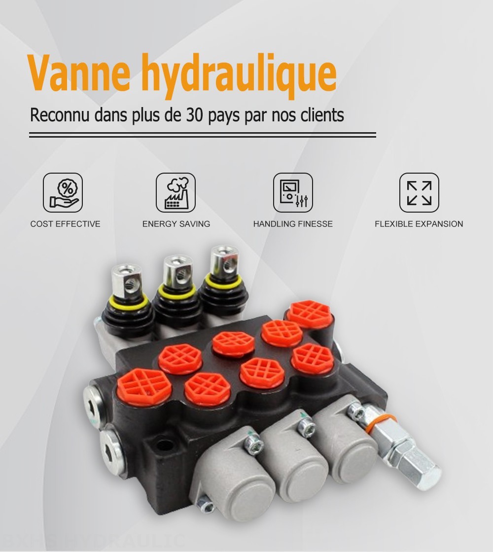 P40-G12-G38-OW Manuel 3 distributeurs Distributeur directionnel monobloc