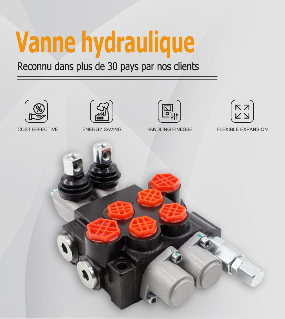 P40-G12-G38 Manuel 2 distributeurs Distributeur directionnel monobloc