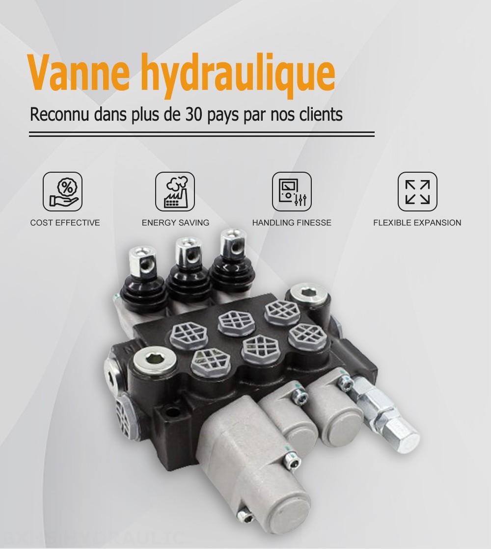 P40-G12-G38 Manuel 3 distributeurs Distributeur directionnel monobloc