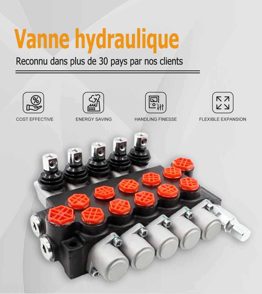 P40-G12-G38 Manuel 5 distributeurs Distributeur directionnel monobloc