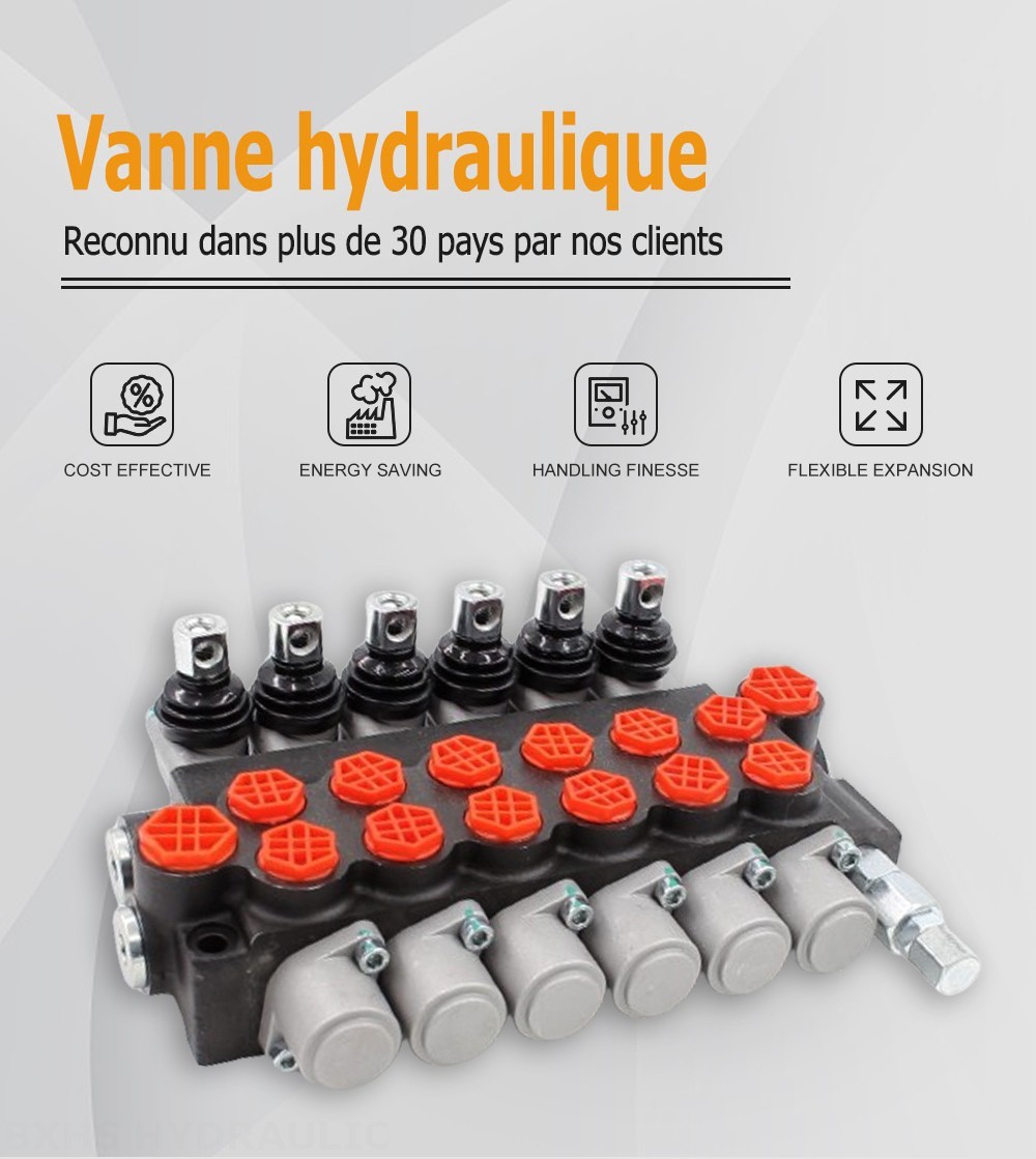 P40-G12-G38 Manuel 6 distributeurs Distributeur directionnel monobloc