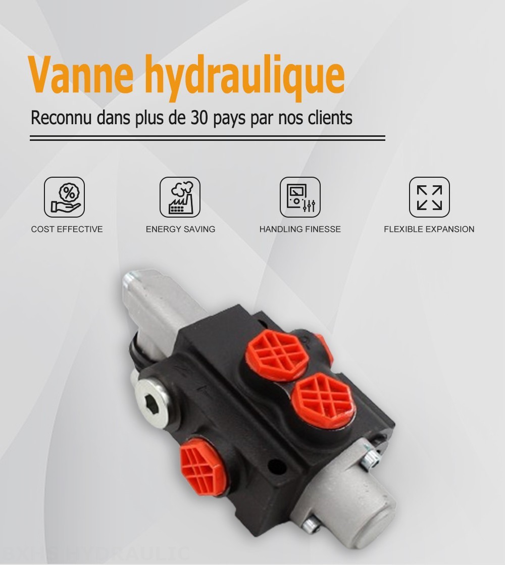 P40-G12-OT Manuel 1 distributeur Distributeur directionnel monobloc