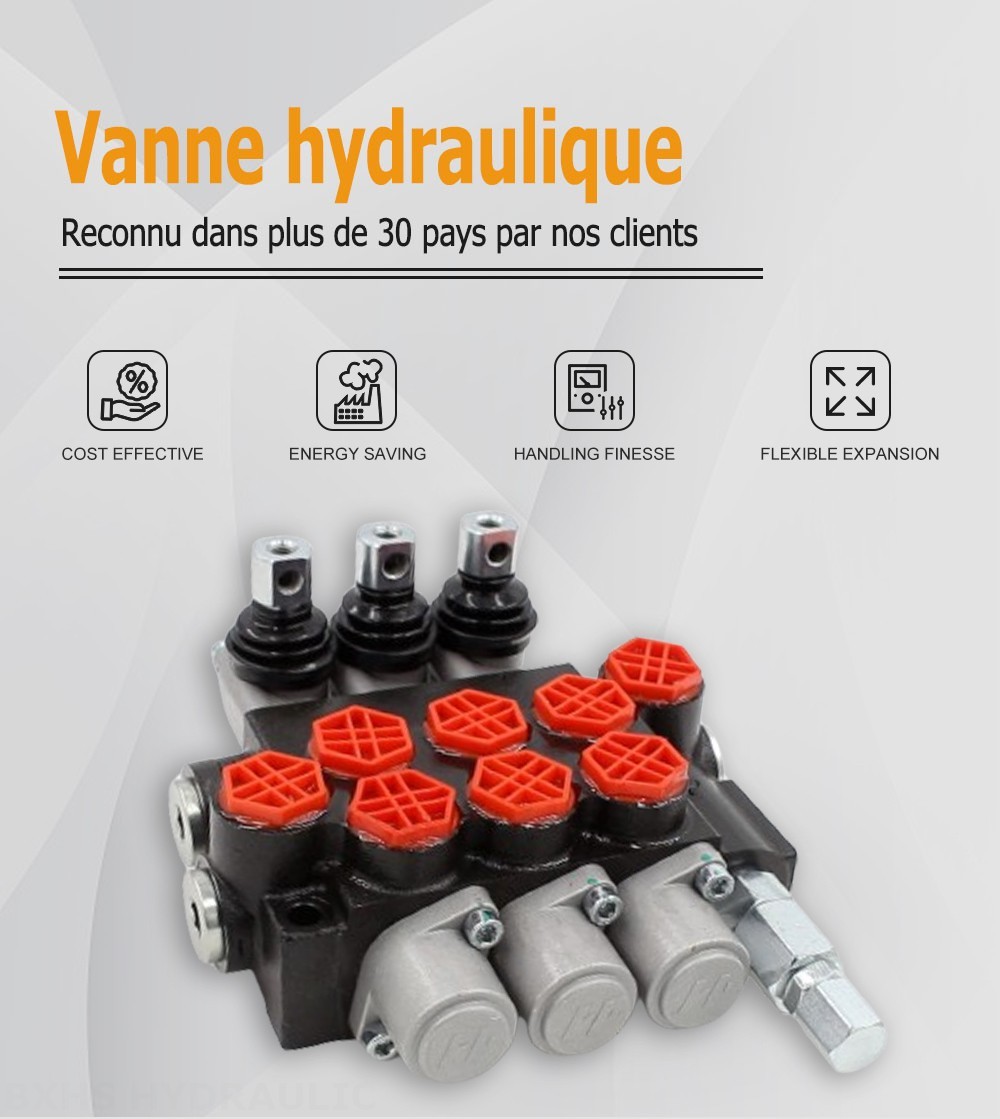 P40-G12-OT Manuel 3 distributeurs Distributeur directionnel monobloc