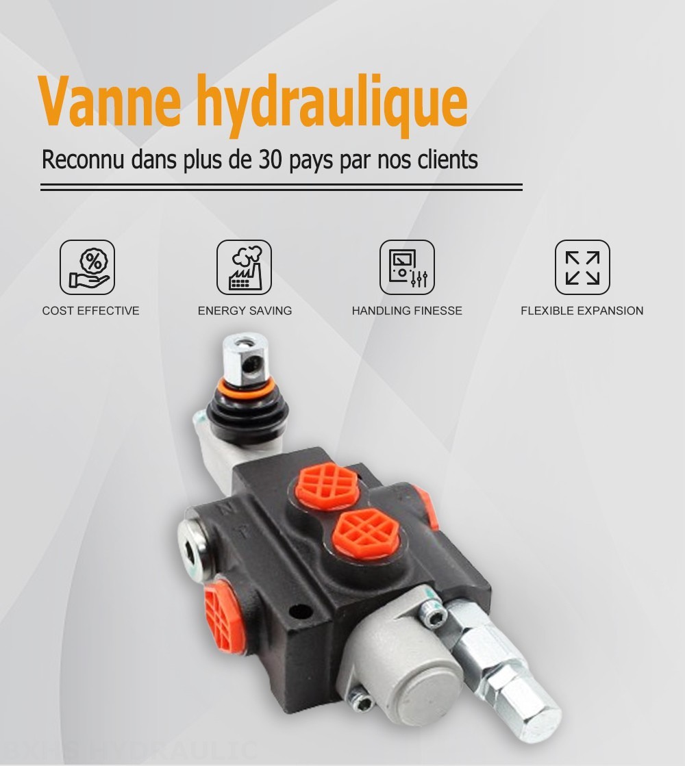 P40-G12-YW Manuel 1 distributeur Distributeur directionnel monobloc