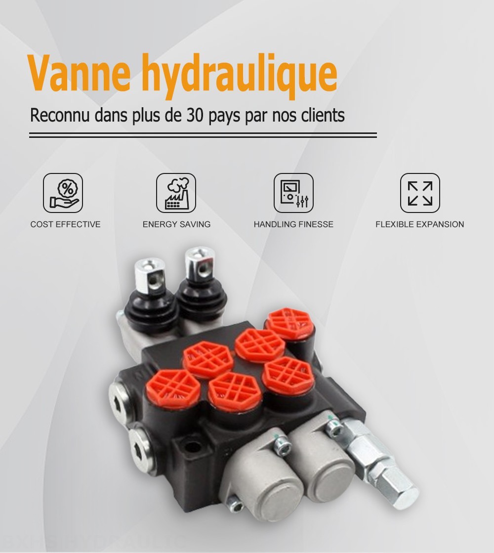 P40-G12 Manuel 2 distributeurs Distributeur directionnel monobloc