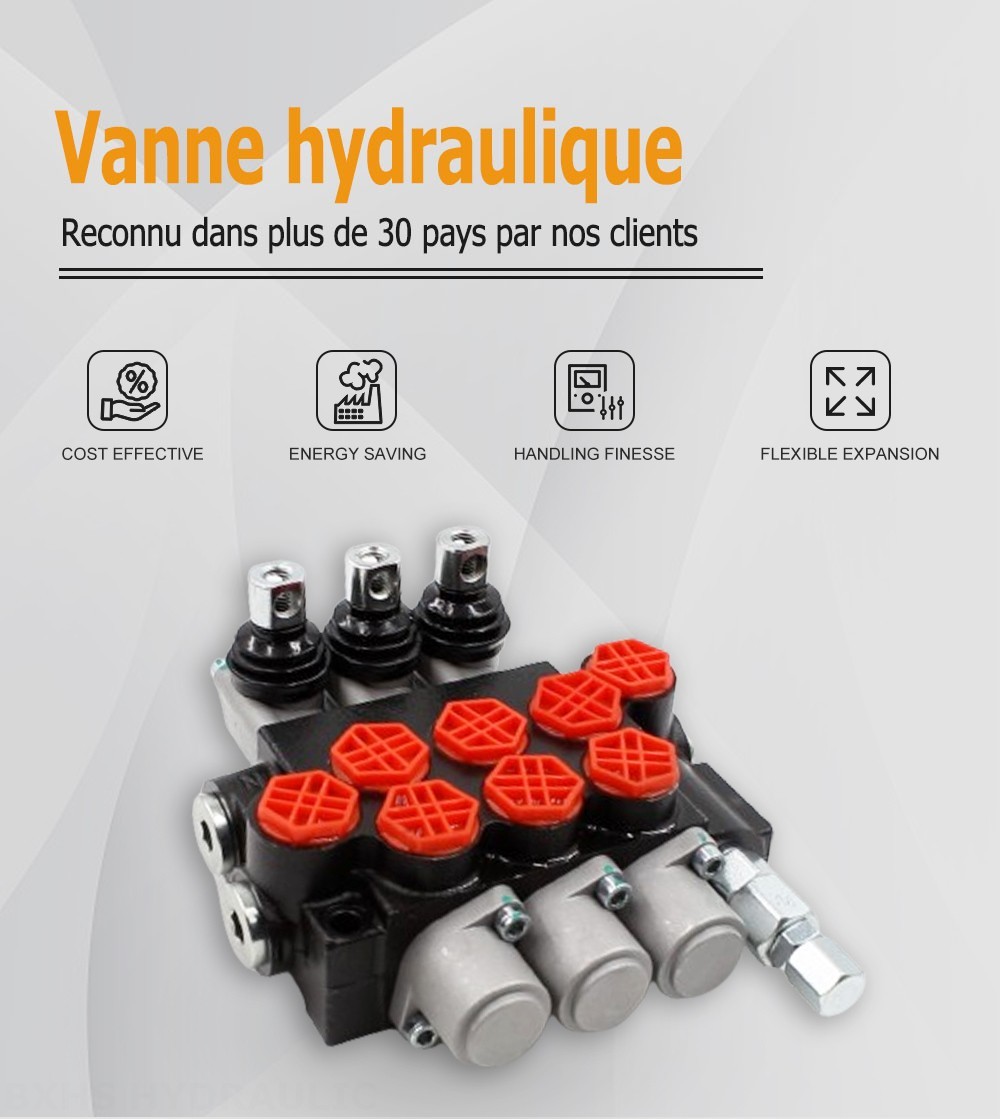 P40-G12 Manuel 3 distributeurs Distributeur directionnel monobloc