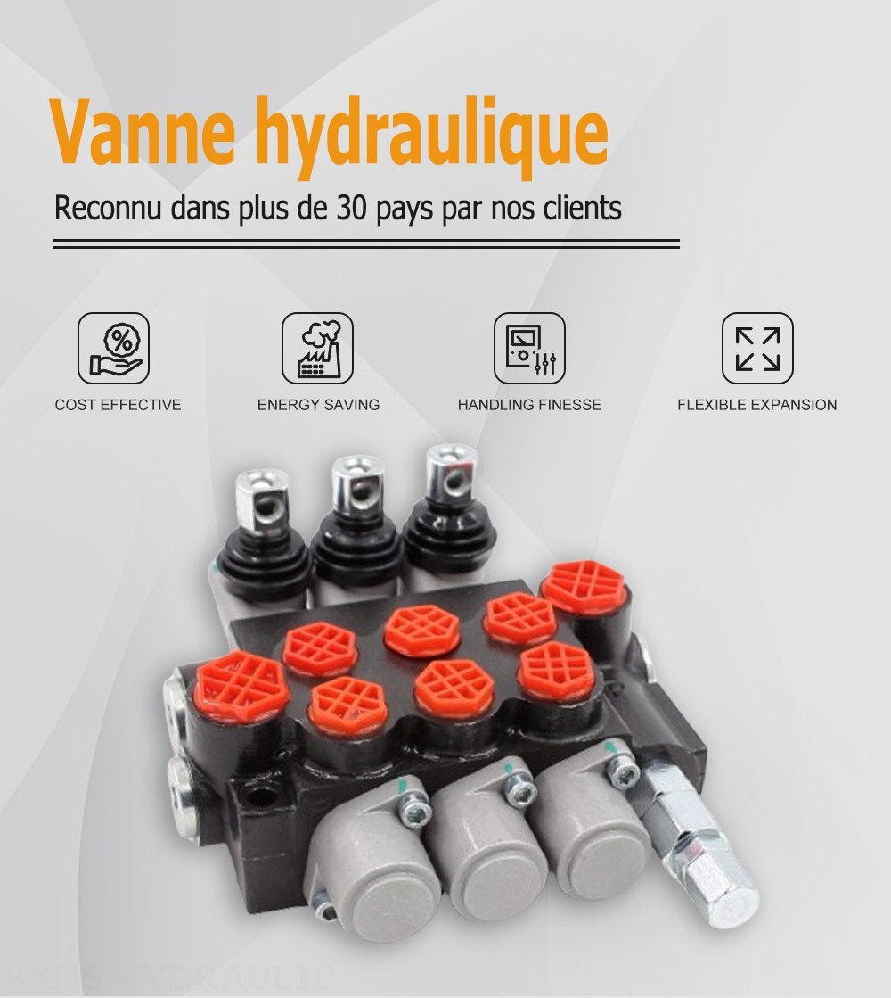 P40-G38-G12-OT-OT-OT Manuel 3 distributeurs Distributeur directionnel monobloc