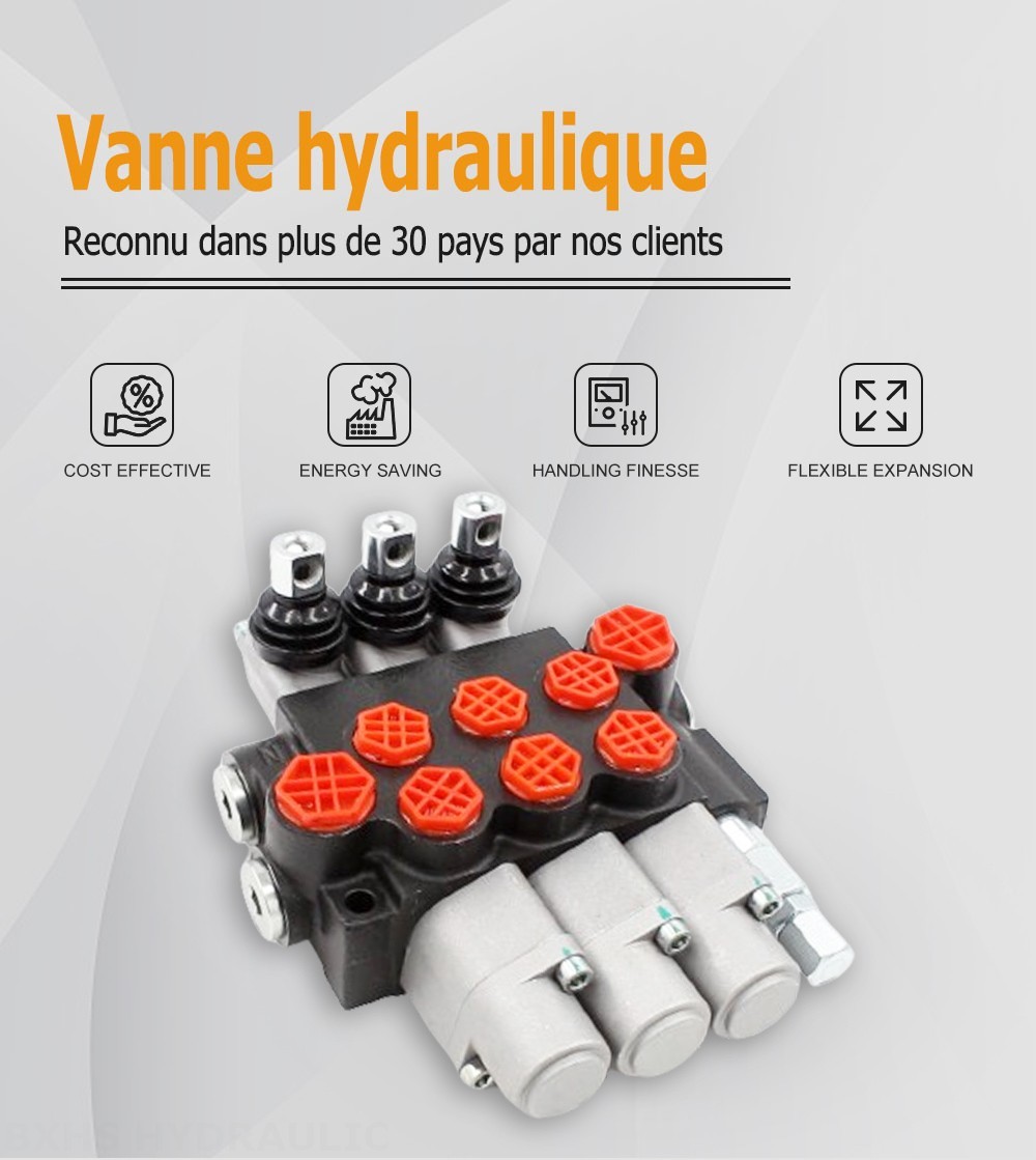 P40-G38-G12-OT Manuel 3 distributeurs Distributeur directionnel monobloc