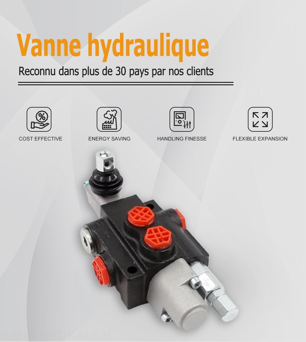 P40-G38-OT Manuel 1 distributeur Distributeur directionnel monobloc