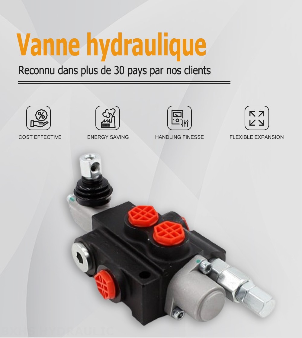 P40-G38 Manuel 1 distributeur Distributeur directionnel monobloc