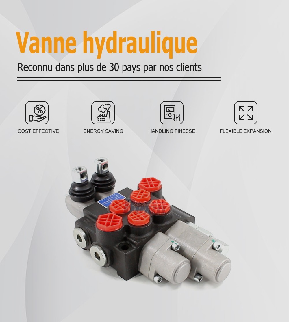 P40-QTW1-QW1 Manuel 2 tiroirs Vanne directionnelle monobloc