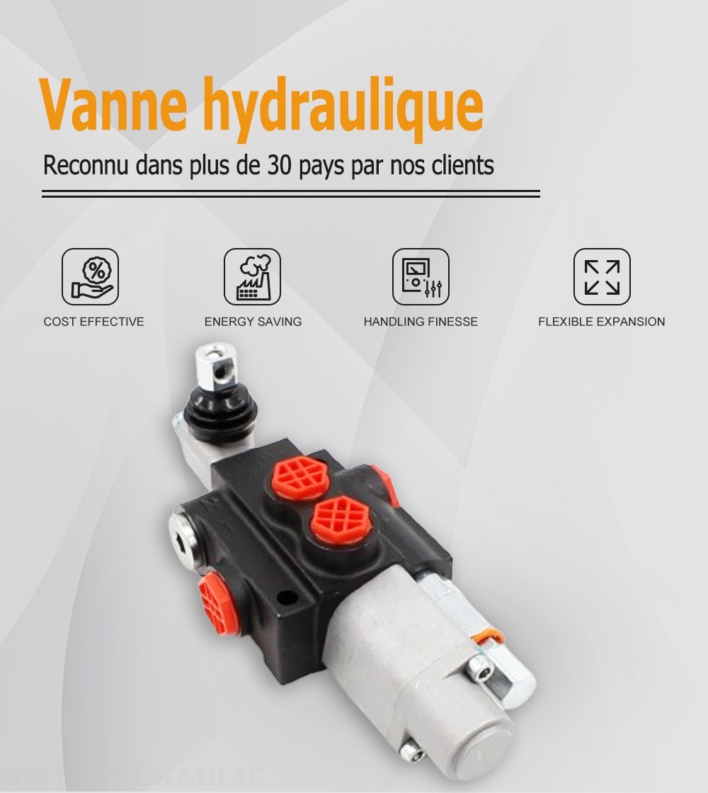 P40-QTW1 Manuel 1 distributeur Distributeur directionnel monobloc