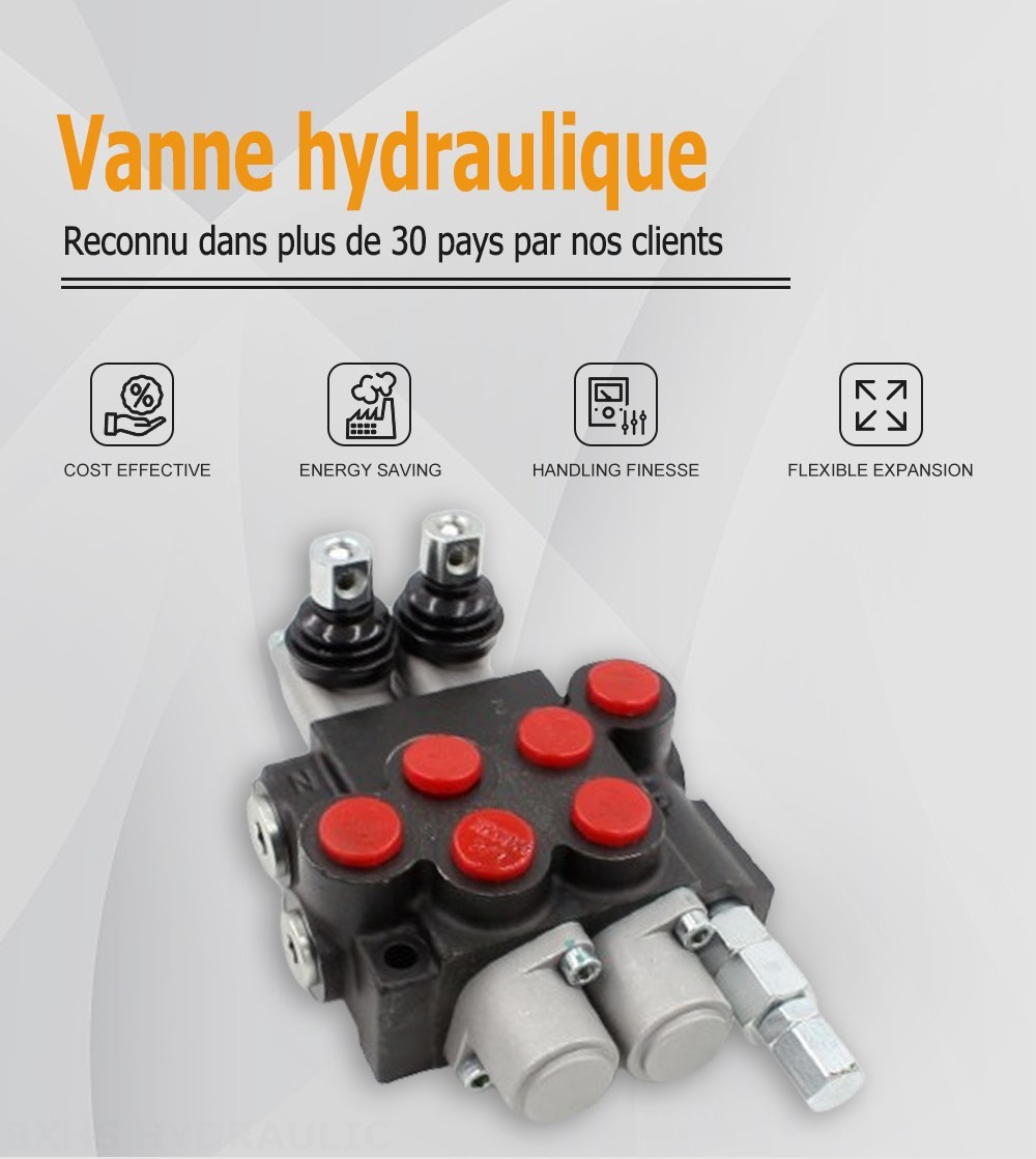 P40-U34-2OT Manuel 2 distributeurs Distributeur directionnel monobloc