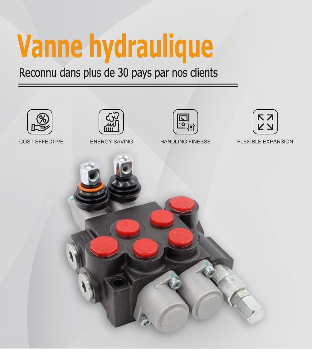 P40-U78-U34-OT-YW Manuel 2 distributeurs Distributeur directionnel monobloc