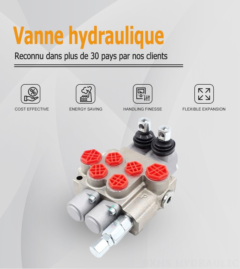 P40-XNHJ Manuel 2 distributeurs Vanne directionnelle monobloc