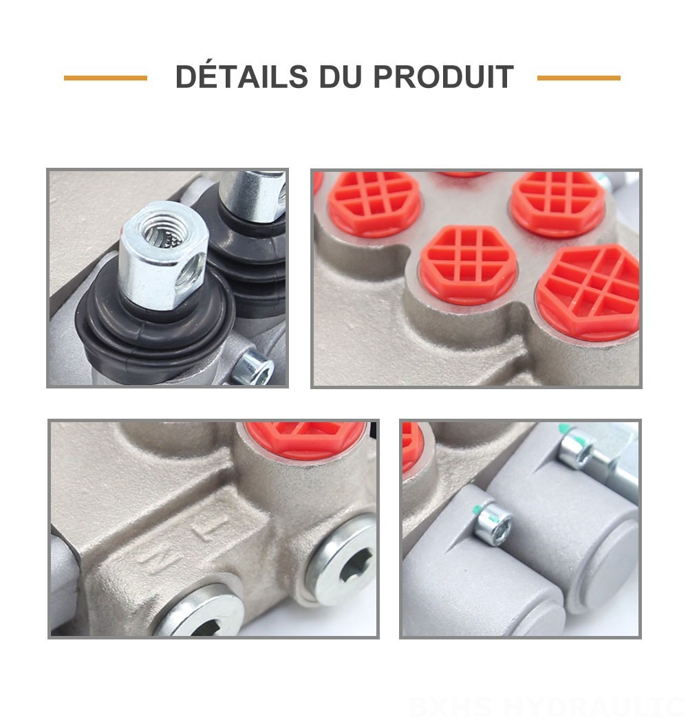 P40-XNHJ Manuel 2 distributeurs Vanne directionnelle monobloc