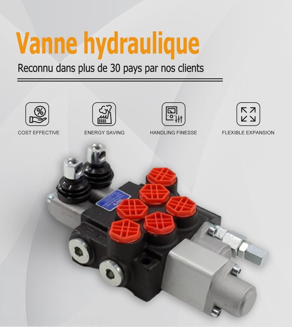 P40A Manuel 2 distributeurs Distributeur directionnel monobloc