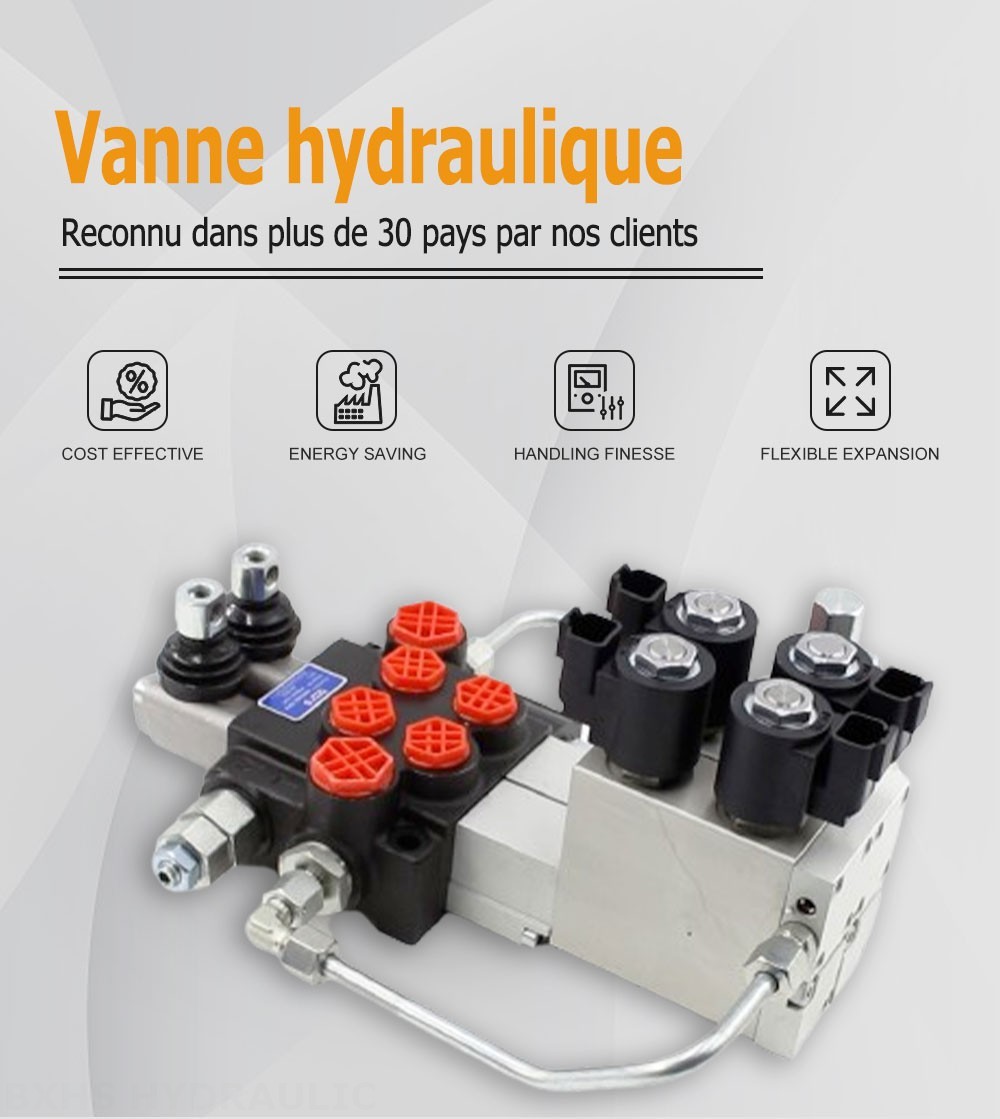 P40 Électro-hydraulique 2 distributeurs Distributeur directionnel monobloc