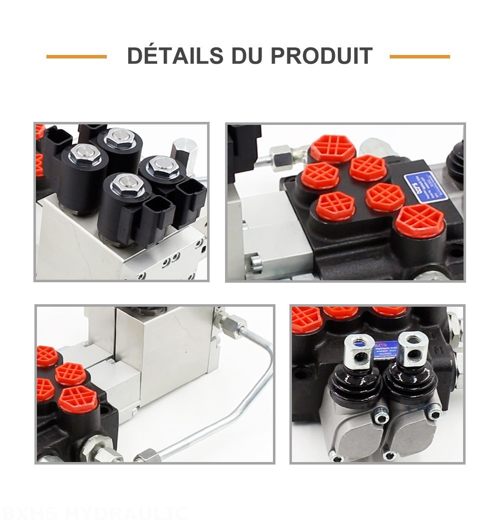 P40 Électro-hydraulique 2 distributeurs Distributeur directionnel monobloc