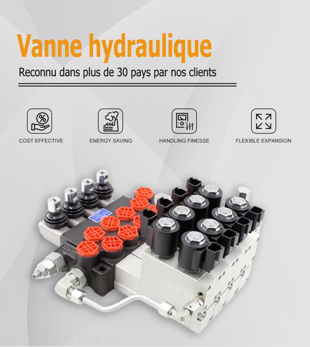 P40 Électro-hydraulique 4 distributeurs Distributeur directionnel monobloc