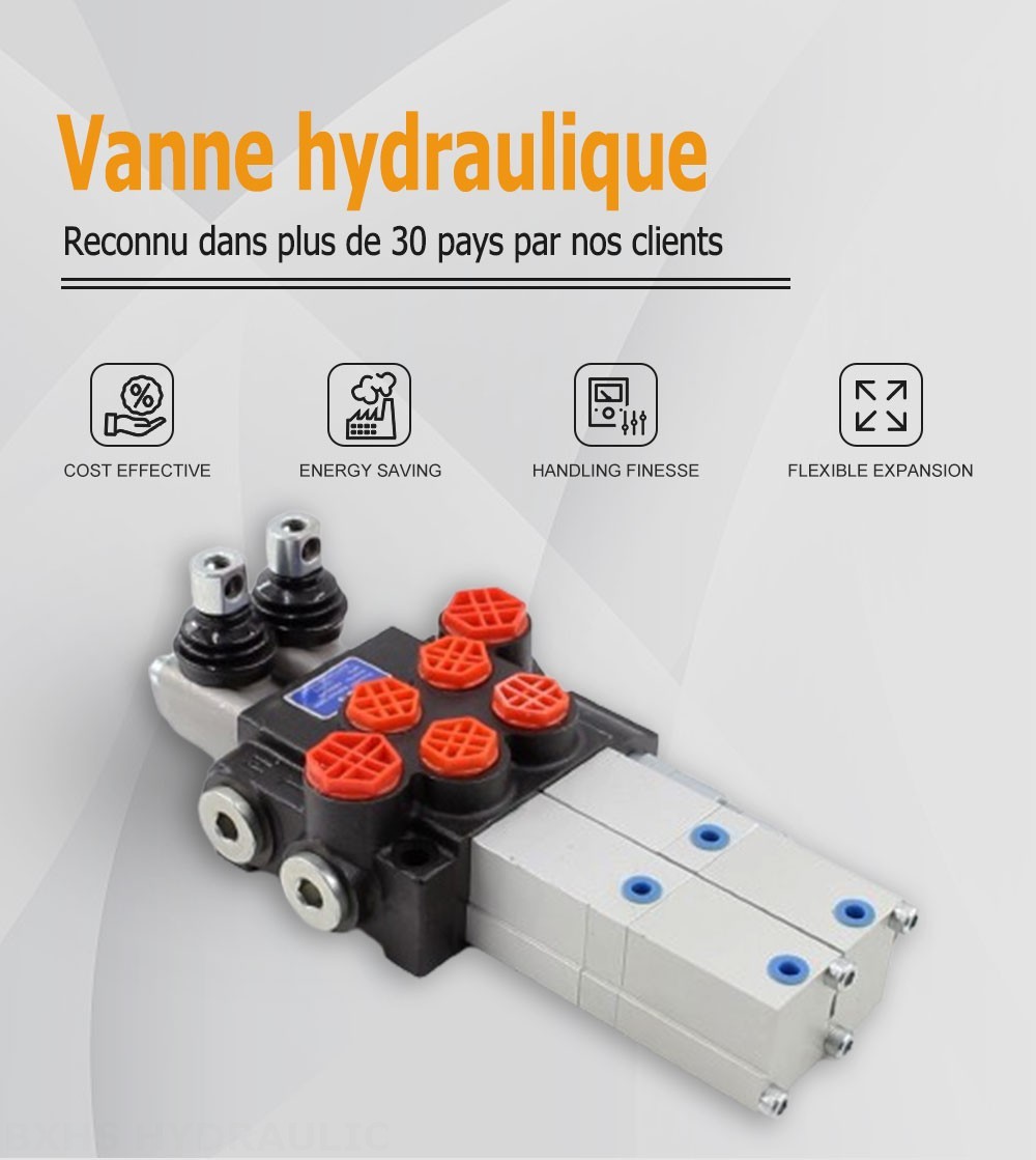 P40 Pneumatique 2 distributeurs Distributeur directionnel monobloc