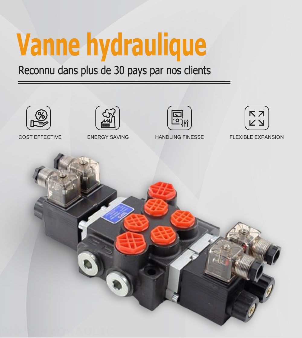 P40 Solénoïde 2 distributeurs Distributeur directionnel monobloc