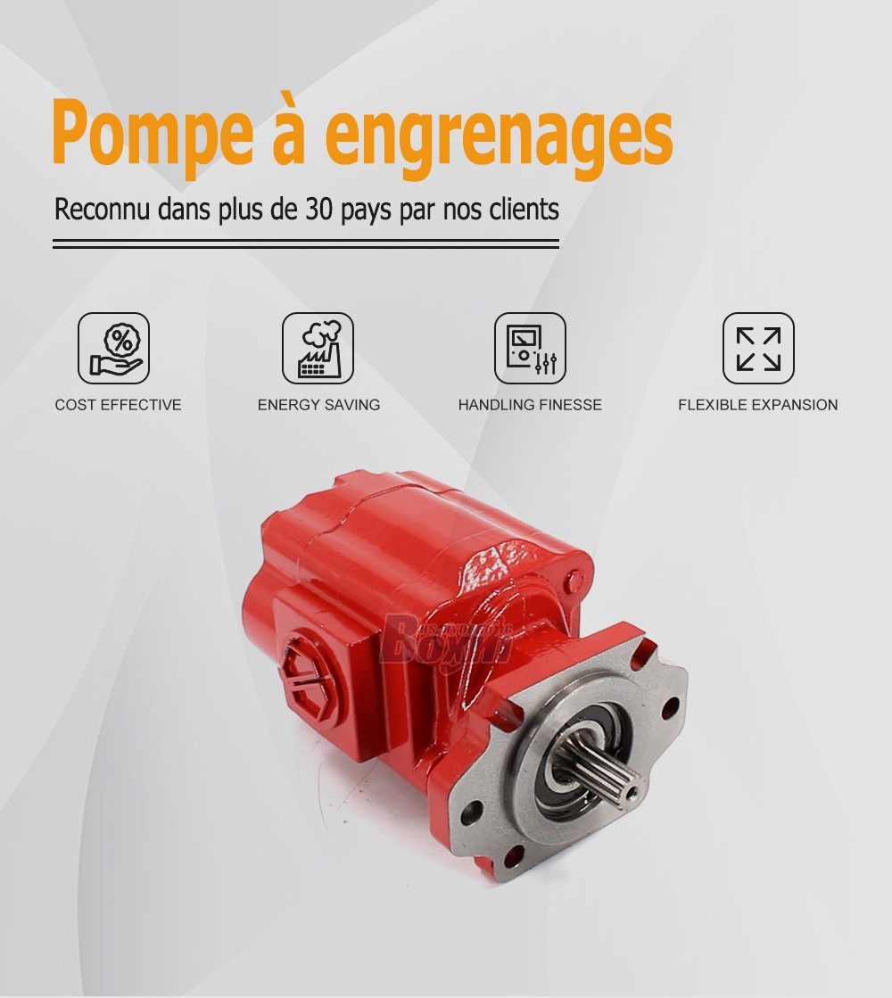 Custom OEM/ODM Service for P51A646TEYR25-25-H 104.5 cc/rev Hydraulic Gear Pump with Private Labeling