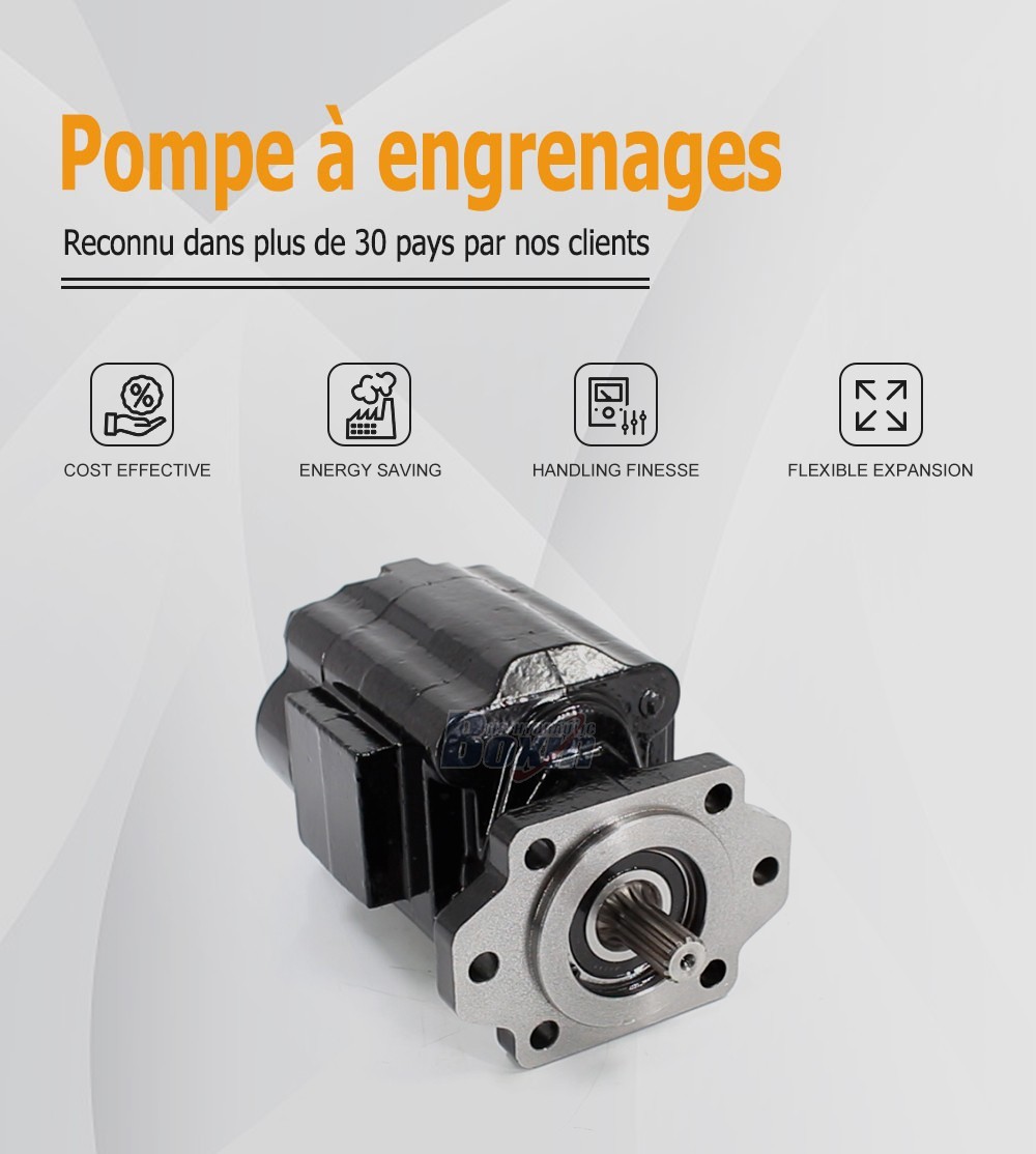 P51A646TEYR25-25 104,5 cm³/tr 16 MPa (2320 psi) Pompe hydraulique à engrenages