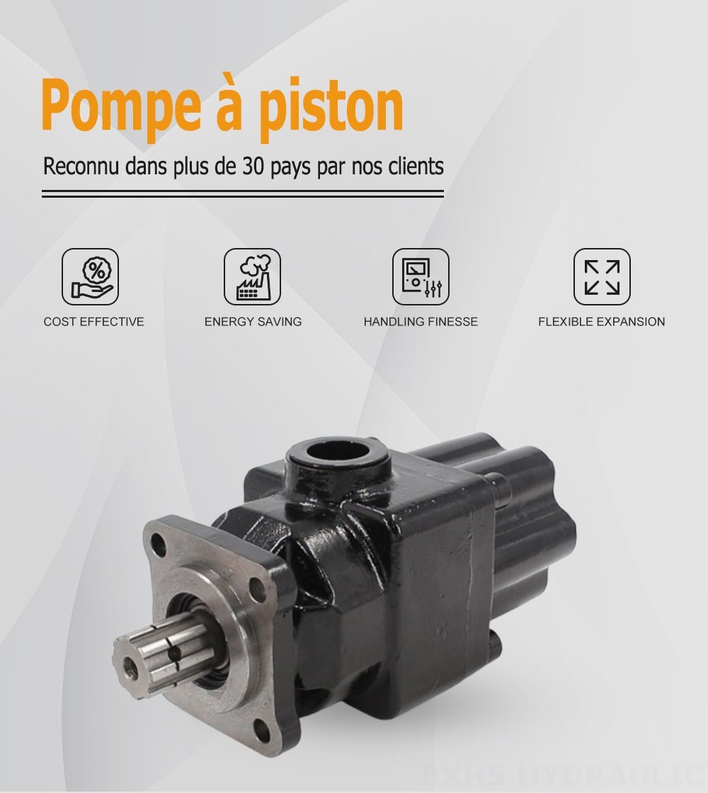 P6-40 40 cm3/tr Pompe hydraulique à pistons