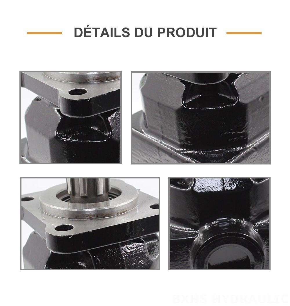 P6-40 40 cm3/tr Pompe hydraulique à pistons
