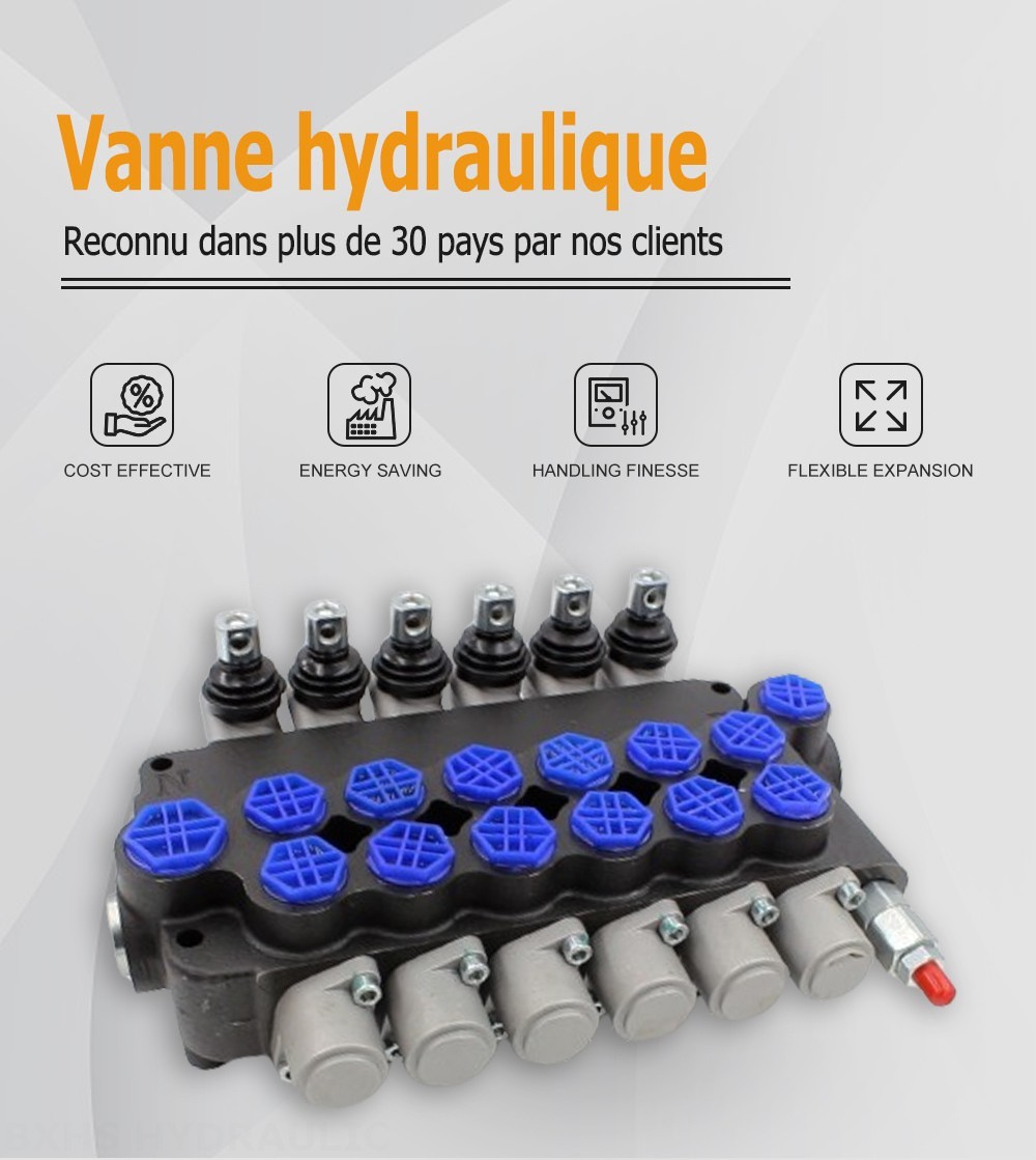 P80-AQF-G12-G34-OT Manuel 6 distributeurs Distributeur directionnel monobloc