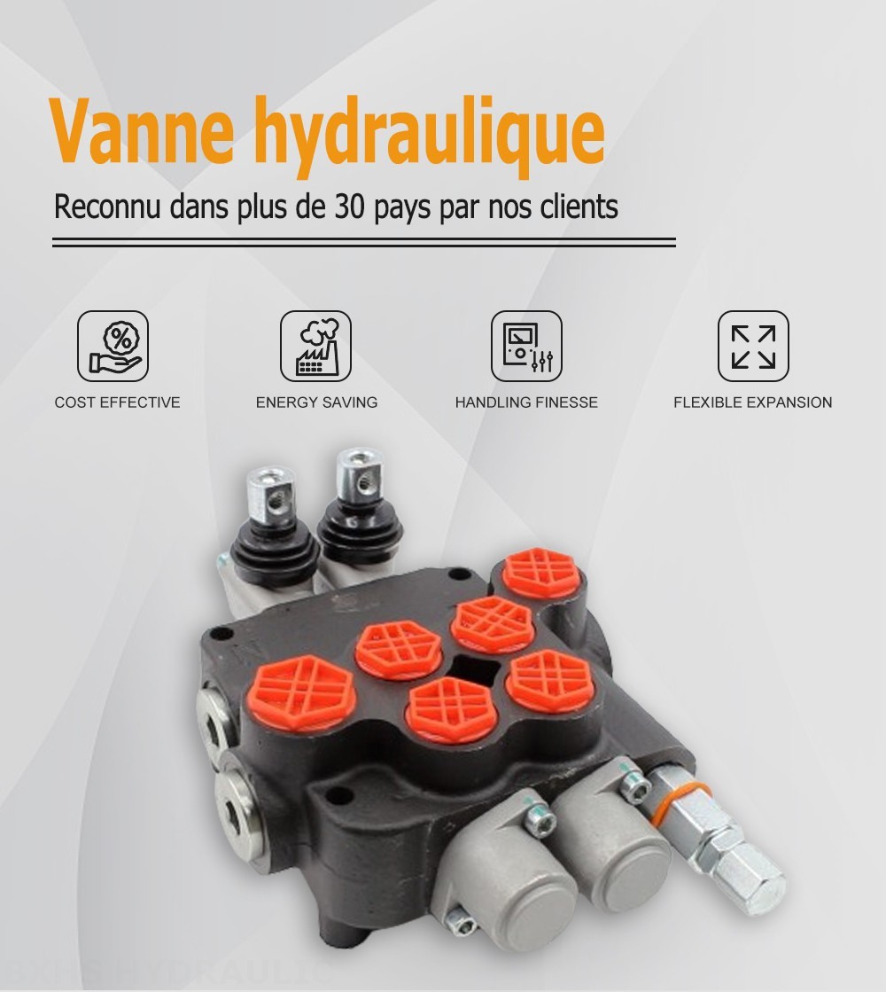 P80-AQF-G34-G12-2OT Manuel 2 distributeurs Distributeur directionnel monobloc